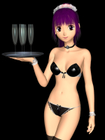 themaid1.png