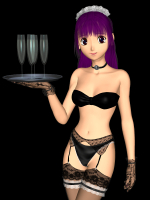 themaid2.png